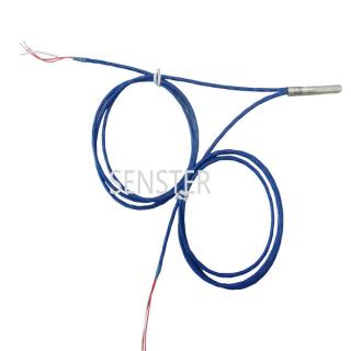 Double Pt100 Temperature Sensor