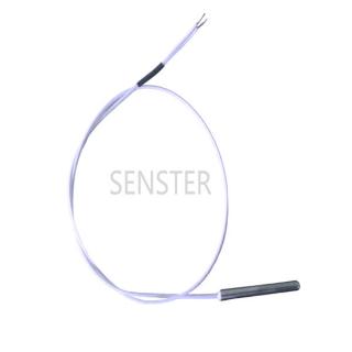 2 Wire Pt100 Temperature Sensor